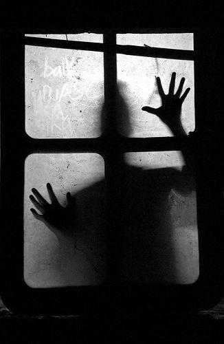 Sorry for looking through your window... Creepy Window, Scary Photography, Window Shadow, Horror Photography, Horror Photos, Creepy Guy, Creepy Horror, Dark Pictures, Creepy Halloween