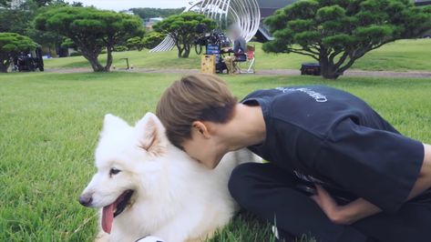 Jeno And Samoyed, จีซอง Nct, Cute Animal Drawings, The Grass, New Things, One By One, 귀여운 동물, Boyfriend Material, Nct 127