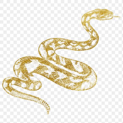 Snake Png, Snake Sticker, Sticker Transparent Background, Snake Illustration, Golden Snake, Cobra Snake, Sticker Transparent, Gold Snake, Aesthetic Stickers