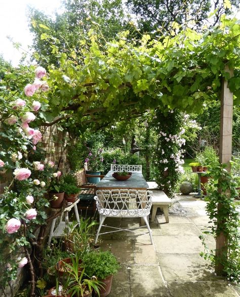 Garden Visit: At Home with Writer Daisy Garnett in London Public Garden, Small City Garden, Garden Nook, London Garden, Garden Area, Have Inspiration, City Garden, Flowers Wallpaper, Outdoor Dining Area