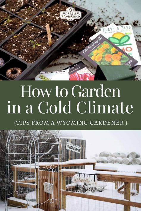 How to Garden in a Cold Climate: Tips from a Wyoming Gardener Gardening In Cold Climates, Off Grid Cold Climate, Cold Climate Garden, Gardening In Wyoming, Gardening In Alaska, Wyoming Gardening, Maine Gardening, Wyoming Homestead, Cold Climate Gardening