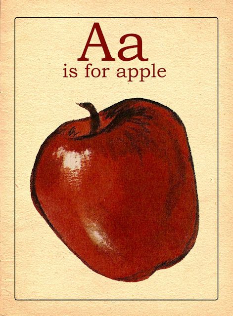 A Is For Apple, Alfabet Letters, Vintage Flash, Alphabet Cards, Alphabet Flashcards, Images Vintage, Vintage School, Vintage Lettering, Alphabet And Numbers