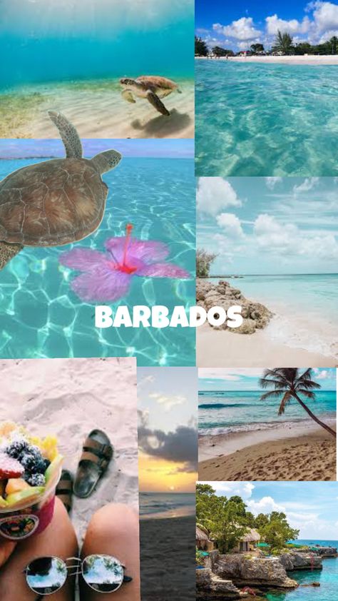 The lovely aesthetic Barbados Barbados Aesthetic, Lovely Aesthetic, Barbados Travel, Barbados, America Travel, Travel Aesthetic, Travel Dreams, Cute Drawings, History