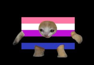 Chaotic Cat Pfp, Gender Fluid Art, Interesting Cats, Genderfluid Aesthetic, Genderfluid Flag, Genderfluid Pride, Bi Flag, Cat Pfp, Lesbian Flag