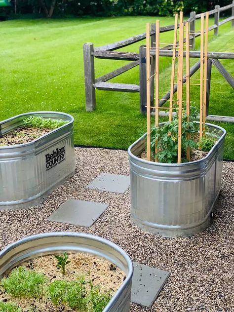 Water Trough Garden, Stock Tank Garden, Stock Tank Gardening, Inexpensive Raised Garden Beds, Backyard Raised Garden, Raised Garden Bed Ideas, Diy Stock Tank, Garden Bed Ideas, Horse Trough