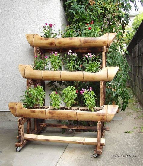 Guadua Ideas, Bamboo Planters, Bamboo Ideas, Bamboo Containers, Bamboo Fountain, Bamboo Diy, Vertical Garden Planters, Bamboo Planter, Aquaponic Gardening