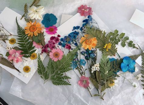 Learn how to Mod Podge dried flowers to glass using this very easy method! You can make pretty sun catchers and home decor displays the easy way. Mod Podge Glass, How To Mod Podge, Mod Podge Gloss, Dried Flowers Diy, Craft Projects For Adults, Mod Podge Crafts, Old Candles, Glass Craft, Stained Glass Flowers