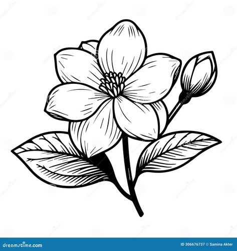 easy jasmine flower, sketch jasmine flower drawing, tattoo jasmine flower drawing, outline jasmine flower tattoo, simple jasmine flower tattoo, minimalist jasmine flower tattoo, white jasmine flower drawing, realistic jasmine flower drawing, art jasmine flower drawing Jasmine Flower Drawing Simple, Mogra Flower Drawing, Jasmine Flower Drawing Art, Jasmin Flower Drawing, Jasmine Drawing Flower, Jasmine Flower Drawing Tattoo, Jasmine Flower Sketch, Flower Drawing Realistic, Flower Drawing Outline