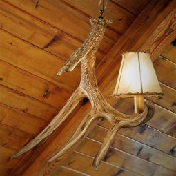 Whitetail Deer 1 Antler Pendant Light Antler Light Fixtures, Rustic Ceiling Light Fixtures, Antler Lights, Antler Pendant, Antler Chandelier, Cabin Lighting, Shotgun Shell, Light Images, White Pendant Light