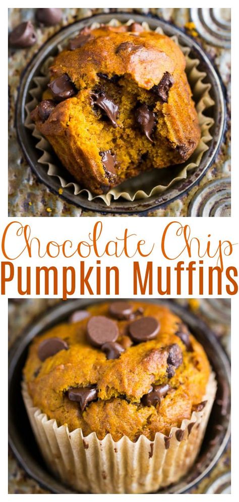 Pumpkin Chocolate Chip Muffin Recipe, Bread Pumpkin, Baker By Nature, Pumpkin Chocolate Chip Muffins, Cheese Pumpkin, Bread Easy, Pumpkin Chocolate Chip, Pumpkin Bread Recipe, Pumpkin Chocolate Chips