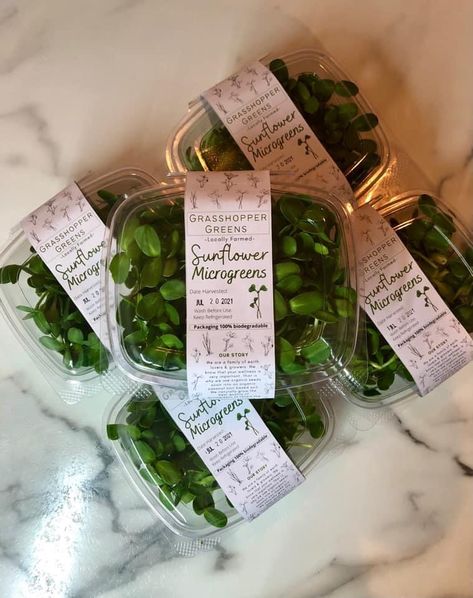 Fresh Herbs Packaging, Packaging Microgreens, Microgreens Branding, Microgreens Packaging Ideas, Microgreen Packaging, Microgreens Packaging, Microgreen Business, Microgreens Business, Farm Market Ideas