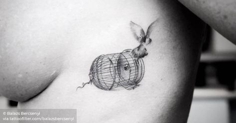 Bird And Cage Tattoo Freedom, Reborn Tattoo, Divorce Tattoo, Birdcage Tattoo, Cage Tattoo, Birds Home, Home Objects, Freedom Tattoos, Cage Tattoos