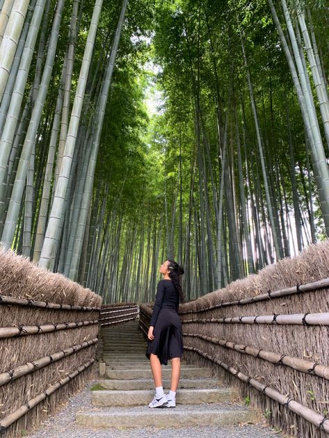 Japan Bamboo Forest Aesthetic, Kyoto Bamboo Forest, Bamboo Forest Kyoto, Japan Bamboo Forest, Bamboo Forest Aesthetic, Arashiyama Bamboo Forest, Bamboo Forest Japan, Japan Travel Outfit, Summer In Japan