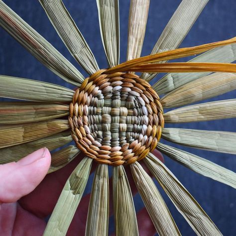 Come Intrecciare, Basket Weaving Diy, Basket Weaving Patterns, Willow Weaving, Folding Origami, Pine Needle Baskets, Invasive Plants, Diy Weaving, Colossal Art