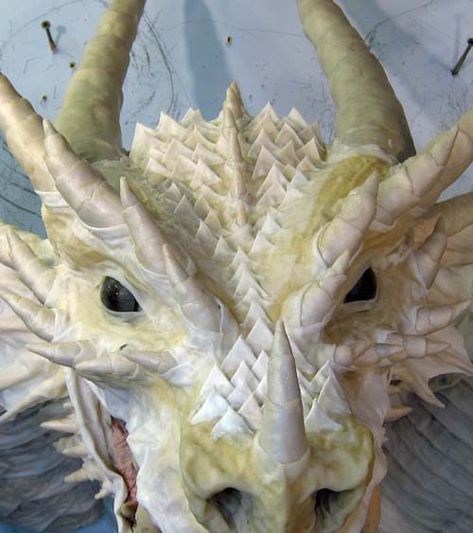 Shrek Dragon, Tiamat Dragon, Chromatic Dragon, World Book Day Ideas, I Know What I Want, Make A Dragon, New Halloween Costumes, Paper Mache Animals, Castle Decor