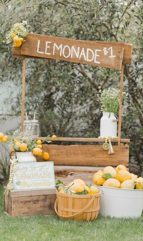 Kids Lemonade Stands, Lemonade Stand Party, Lemon Farm, Diy Lemonade Stand, Kids Lemonade, Diy Lemonade, Lemonade Bar, Summer Lemonade, Fruit Popsicles