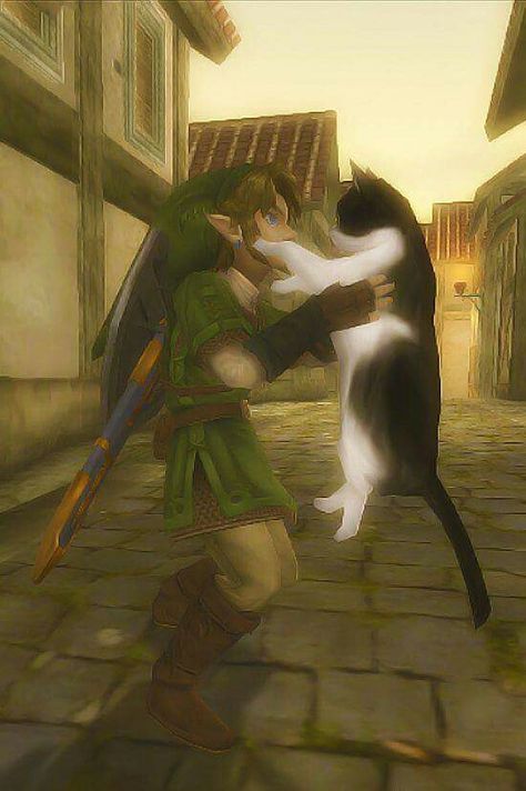 Zelda Screenshots, Twilight Princess, Legend Of Zelda, Art Blog, A Cat, My Art, Zelda, White, Black