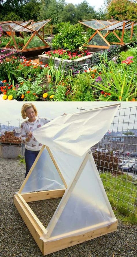 Diy Greenhouses, Plantarea Legumelor, Garden Uk, Build A Greenhouse, نباتات منزلية, Bamboo Garden, Greenhouse Plans, Diy Greenhouse, Veg Garden