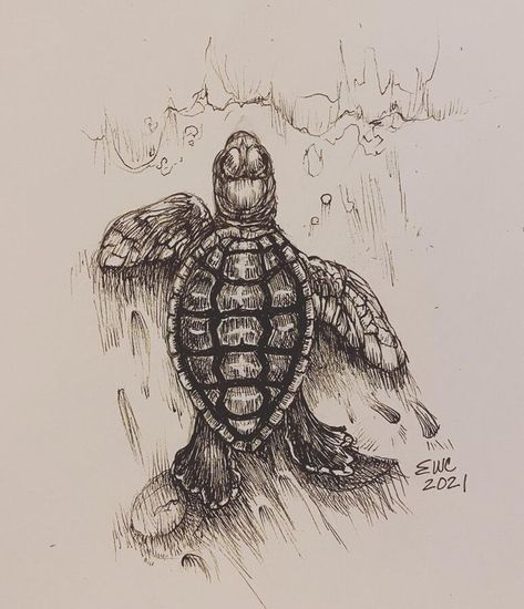 Turtle Animal Drawing Turtle Underwater Drawing, Biro Animals Drawings, Turtle Ink Drawing, Pen Animal Sketch, Sea Turtle Pencil Drawing, Turtle Drawing Reference, Ink Drawing Animals, Turtle Drawings Sketches, Art Inspiration Animals