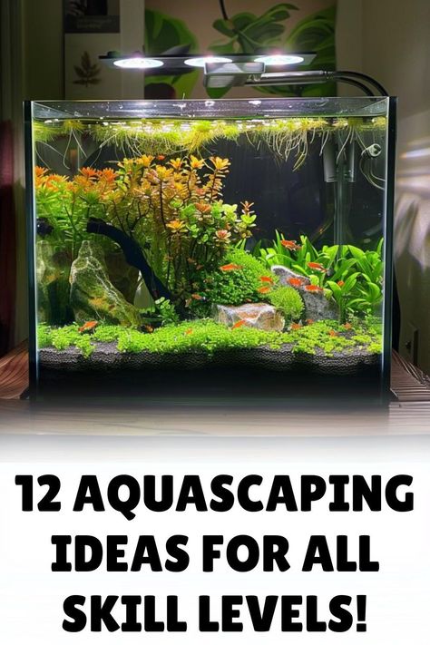 Elevate your aquarium game with these breathtaking aquascaping ideas that will transform your fish tank into a work of living art. Watch our video to learn how to create harmonious underwater ecosystems that are as beautiful as they are functional. Fish Tank Aquascape, Black Sand Aquascape, Aquascape Aquarium Ideas Simple, Aquarium Landscape Ideas, Aquascape Aquarium Beginner, 30 Gallon Aquascape, Aquarium Hardscape Ideas, 20 Gallon Aquascape, Aqua Scape Ideas