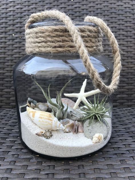 Strand Decor, Air Plants Diy, Toples Kaca, Deco Marine, Seashell Projects, نباتات منزلية, Sand And Sea, Shell Crafts Diy, Beach Ideas