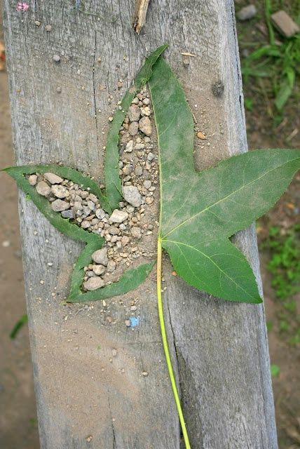 What Is Ephemeral Art? Read To Know More Nature, Environmental Art Projects, Transient Art, Bored Art, Ephemeral Art, Artist Study, Andy Goldsworthy, Nature Artists, Earth Art