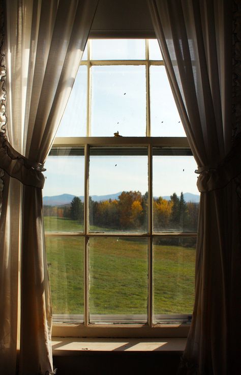 An Open Window, Window Photography, Looking Out The Window, Window View, Through The Window, Open Window, Through The Looking Glass, Country Life, Window Sill