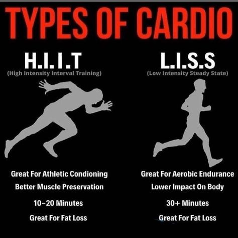 Cardio Types HIIT VS LISS Checkout for what is better for you.. Mass Gain Diet, The Rock Workout, Muscle Gain Diet, Big Arms, Types Of Cardio, Best Workout Routine, Gym Diet, How To Get Bigger, Gym Tips