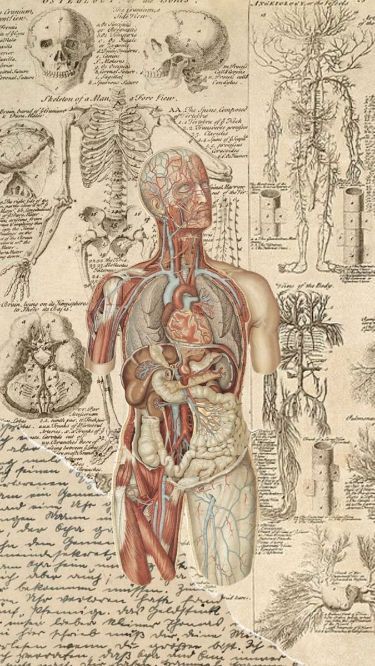 Medical Science Wallpaper, Anatomy And Physiology Wallpaper, Ipad Wallpaper Anatomy, Medical Drawings Aesthetic, Biological Wallpaper, Aesthetic Motivational Posters, Medical Studies Aesthetic, Biology Research Aesthetic, Phycology Aesthetic Wallpaper