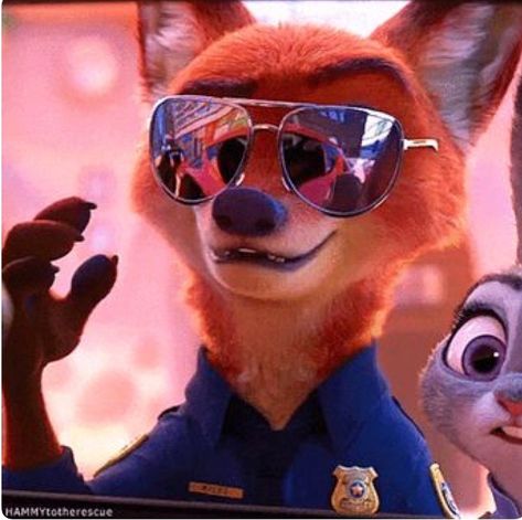 Do you know what the difference between nick and Judy is? Nick makes this look good. Nick Wilde, Zootopia, Fox, Memes, Funny