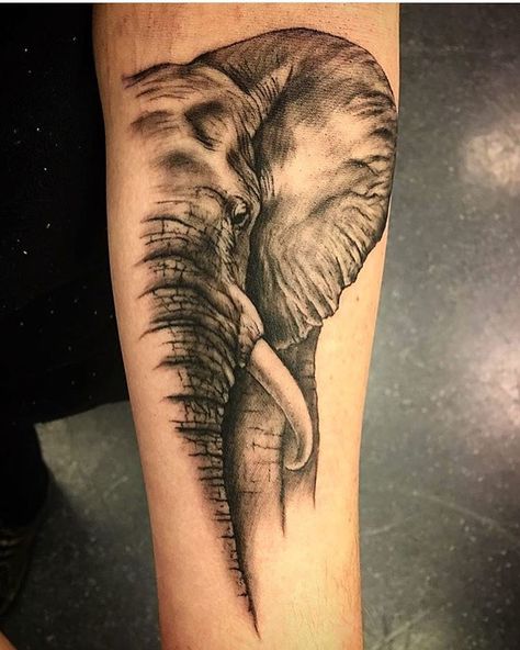 Elephant Tattoos Men Leg, Exotic Animals Art, Male Elephant, Harley Tattoos, Tattoos 2024, Dream Laundry Room, Back Tattoos For Guys, Arm Band Tattoo, Elephant Tattoo