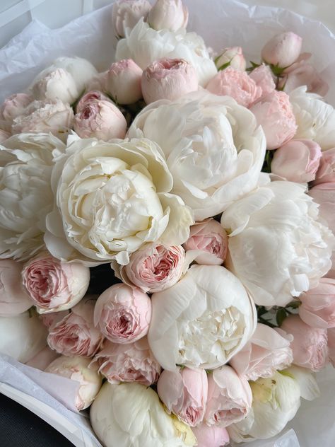 Boquette Flowers, Nothing But Flowers, Peonies Bouquet, Flower Therapy, Beautiful Bouquet Of Flowers, Beautiful Bouquet, Pink Peonies, Love Flowers, My Flower