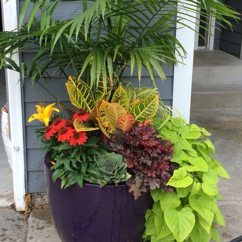 Late summer/early fall planter Fall Plant Decor, Front Planters, Fall Planter Ideas, Fall Potted Plants, Plants For Full Sun, 1940s Farmhouse, Shade Plants Container, Full Sun Container Plants, Container Arrangements