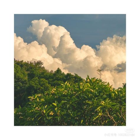 The Sky, Follow Me, Trees, Green