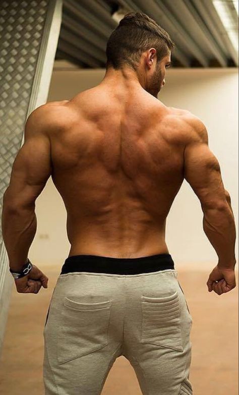 Man Forearm Reference, Buff Man Back Reference, Mens Back Reference, Male Back Muscles Reference, Male Back Anatomy Reference, Men’s Back, Back Muscle Reference, Men Back Muscles, Muscular Man Drawing Reference