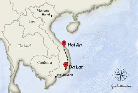 In this guide, I explain step-by-step how to travel from Hoi An to DaLat. The 625km journey takes 2,5 hrs by plane, 15,5 hrs by train and 17 hrs by bus. Learn which option is best for you and book your tickets online! Hoi An, Dong Hoi, Sapa Vietnam, By Bus, By Plane, One With Nature, Ways To Travel, Online Tickets, Vietnam Travel