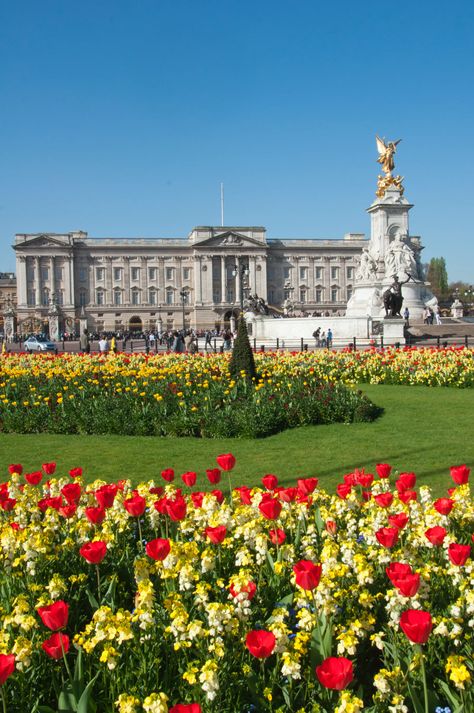 London Buckingham Palace, Birmingham Palace, Buckingham Palace Aesthetic, Buckingham Palace London, Buckingham Palace Gardens, Planting, London Dreams, Palace Garden, London Aesthetic