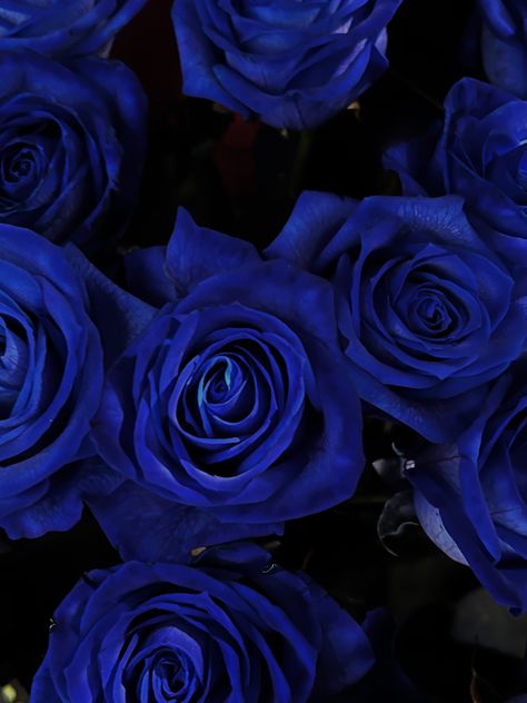 Rose Blu, Navy Blue Roses, Midnight Blue Wedding, Rosé Core, Blue Images, Dark Blue Wallpaper, Everything Is Blue, Aesthetic Roses, Iphone Wallpaper Kawaii