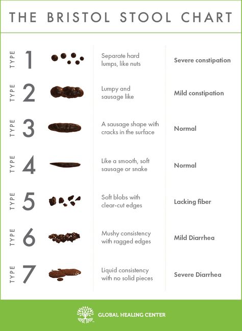 Bristol Stool Chart Bristol Stool, Bristol Stool Chart, Stool Chart, Chronic Constipation, Healthy Morning Routine, Healthy Bacteria, Large Intestine, Eating Organic, Good Foods To Eat