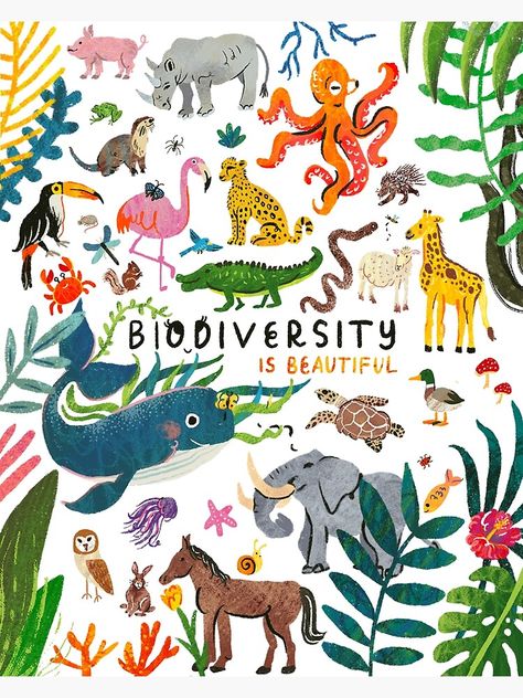 "Biodiversity is Beautiful" Poster by annakorol | Redbubble Save Animals Poster, Ecology Art, Earth Day Drawing, Diversity Poster, Project Cover Page, Biodiversity Conservation, Instagram Projects, Only Aesthetic, Poster Drawing