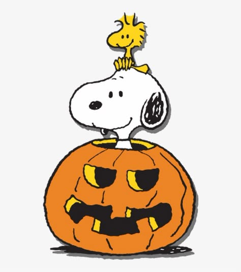 Woodstock Snoopy, Great Pumpkin Charlie Brown, Snoopy Dog, Peanuts Halloween, Charlie Brown Halloween, Snoopy Halloween, Snoopy Images, Halloween Express, Snoopy Wallpaper