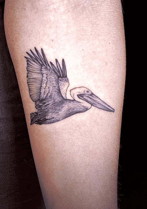 Pelican Tattoo Design Images (Pelican Ink Design Ideas) Galapagos Tattoo Ideas, Pelican Tattoo Design, Beach Bird Tattoo, Brown Pelican Tattoo, Flying Pelican Tattoo, Pelican Tattoo For Women, Tommy Tattoo, Pelican Tattoo, Patchwork Tattoos