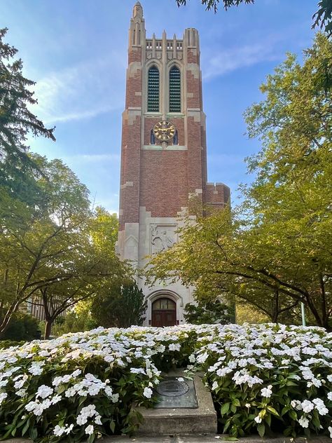 #fall #msu #michiganstate #beaumonttower #flowers #campus #backtoschool #college #football #school #wallpaper Umich Campus Aesthetic, Michigan College Aesthetic, Michigan State University Aesthetic, Central Michigan University Aesthetic, U Michigan, Pretty College Campus, School Wallpaper, Ferris State University, Michigan State University Campus