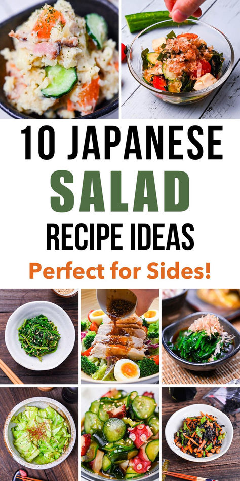 Japanese salad recipes showcasing diverse dishes with vibrant vegetables, seafood, and traditional ingredients Japanese Food Side Dish, Easy Japanese Lunch Recipes, Japanese Veggies, Japanese Salads, Japanese Salad Recipes, Japanese Cabbage Salad, Wakame Salad, Ibs Friendly Food, Asian Salad Recipe