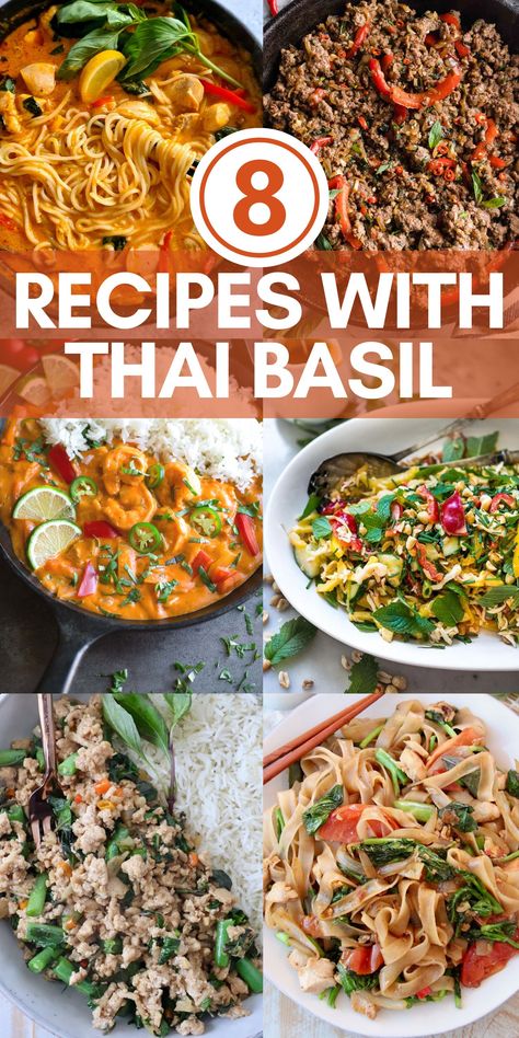 collage of images of recipes with thai basil as an ingredient Thai Basil Noodle Recipe, Recipes That Use Thai Basil, What To Make With Thai Basil, Thai Basil Pasta, Thai Basil Vegetables, Thai Basil Uses, Dinners With Basil, Fresh Thai Basil Recipes, Spicy Basil Fried Rice Thai