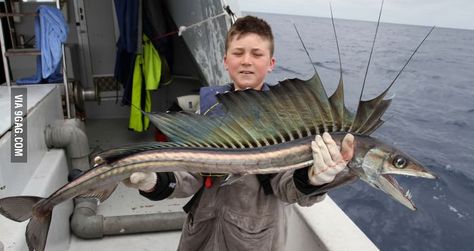 Lancet fish look like sea monsters. Here's my friends son holding one.We caught it 100 nautical miles offshore. River Monsters, Fauna Marina, Monster Fishing, Salt Water Fishing, Deep Sea Creatures, Cool Fish, Deep Sea Fishing, Sea Monsters, Weird Creatures