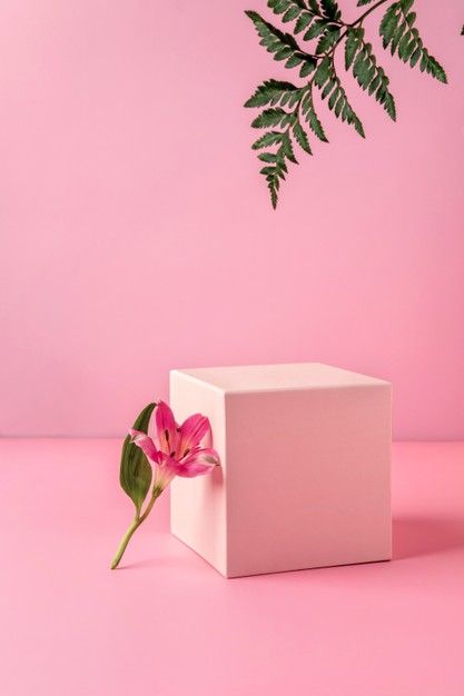 Fragrance Editorial, Leaves Wallpaper Iphone, Studio Backdrops Backgrounds, Beauty Drawings, Adobe Photoshop Design, Jewelry Product Shots, Pink Perfume, Still Life Photos, Beauty Products Photography