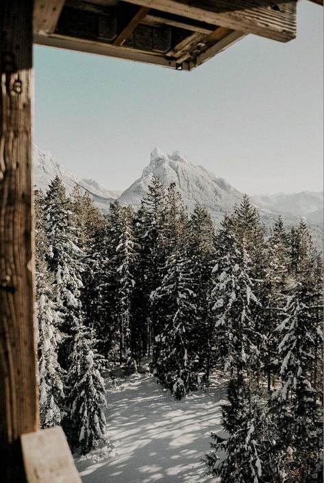 Winter Wilderness Aesthetic, Snowy Hills Aesthetic, Snowy Woods Aesthetic, Snowy Mountains Aesthetic, Snowy Road Aesthetic, Winter Aesthetics, Sunny Winter, Southern Comfort, Winter Aesthetic