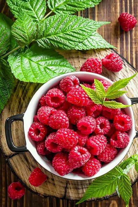 Raspberry Health Benefits, Raspberry Benefits, Fruit Picture, Fruit Photography, Beautiful Fruits, Delicious Fruit, Fruit And Veg, Natural Food, Fruits And Veggies