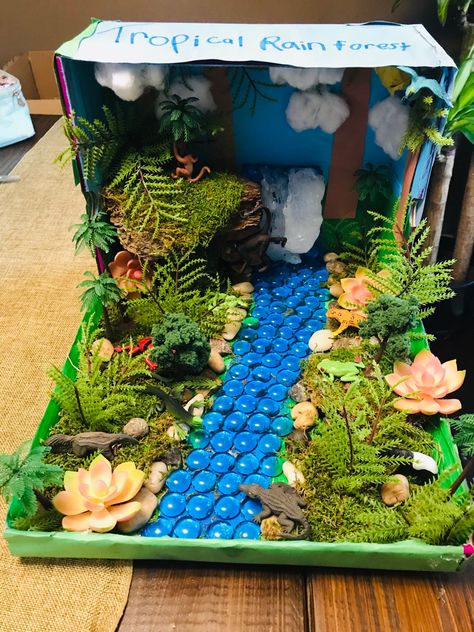 Rainforest Crafts Shoebox School Projects, Rainforest Box Project, Shoe Box Diorama Rainforest, Shoe Box Fairy Garden, Shoe Box Rainforest Project, Rainforest Diarama Ideas Kids, Rainforest Shoebox Project, 3d Ecosystem Project, Rainforest Habitat Diorama